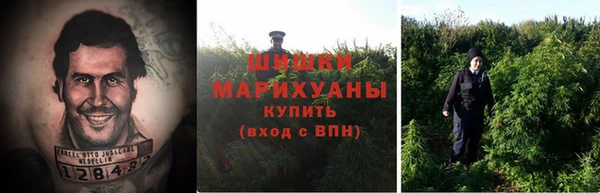 амф Магадан