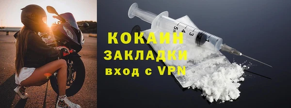 шишки Лагань